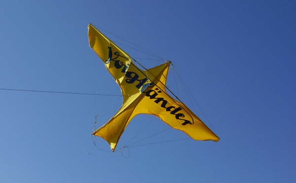 Voigtlander Kite in Flight